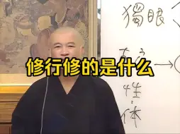 Download Video: 体佛法师：修行修的是什么