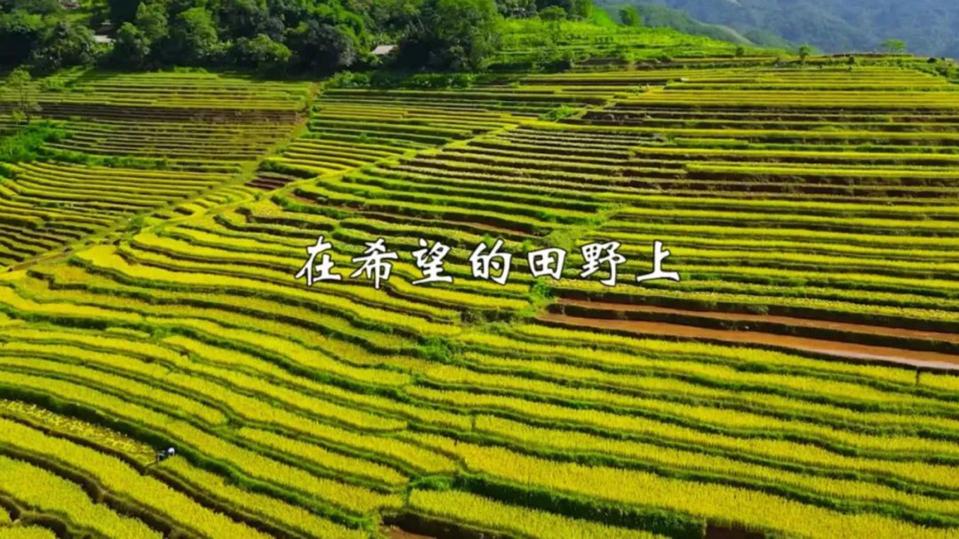 一首黑鸭子组合《在希望的田野上》,歌声甜美动听,令人陶醉