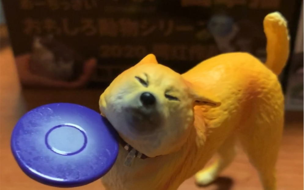 动物星球沙雕系列飞碟狗开箱