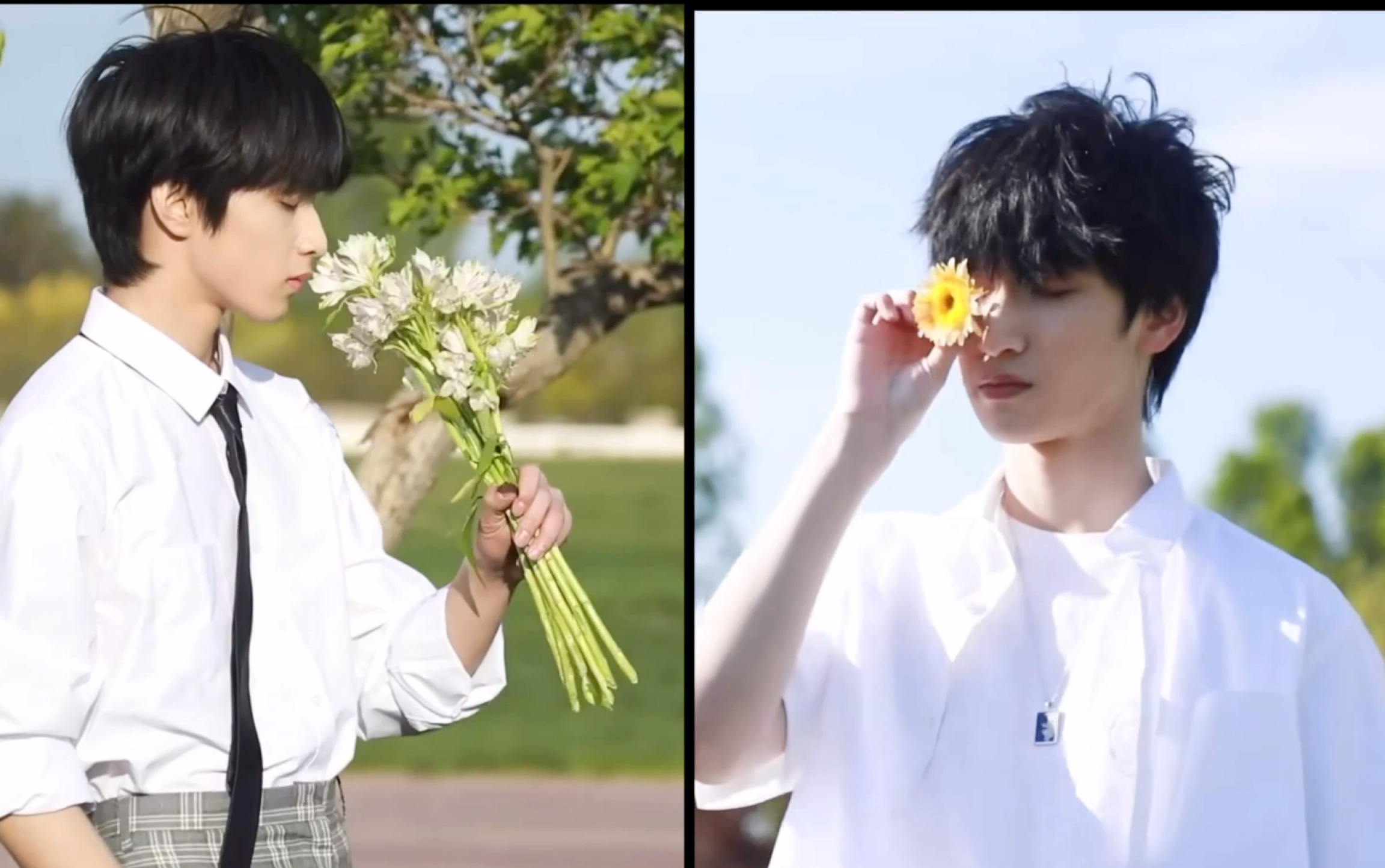 【文严文|祺管严】谁能用爱当做筹码 就放下最潇洒 去告白吧