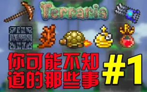 Download Video: 【旧版pe1.2】你可能不知道的那些冷知识#1[Terraria]