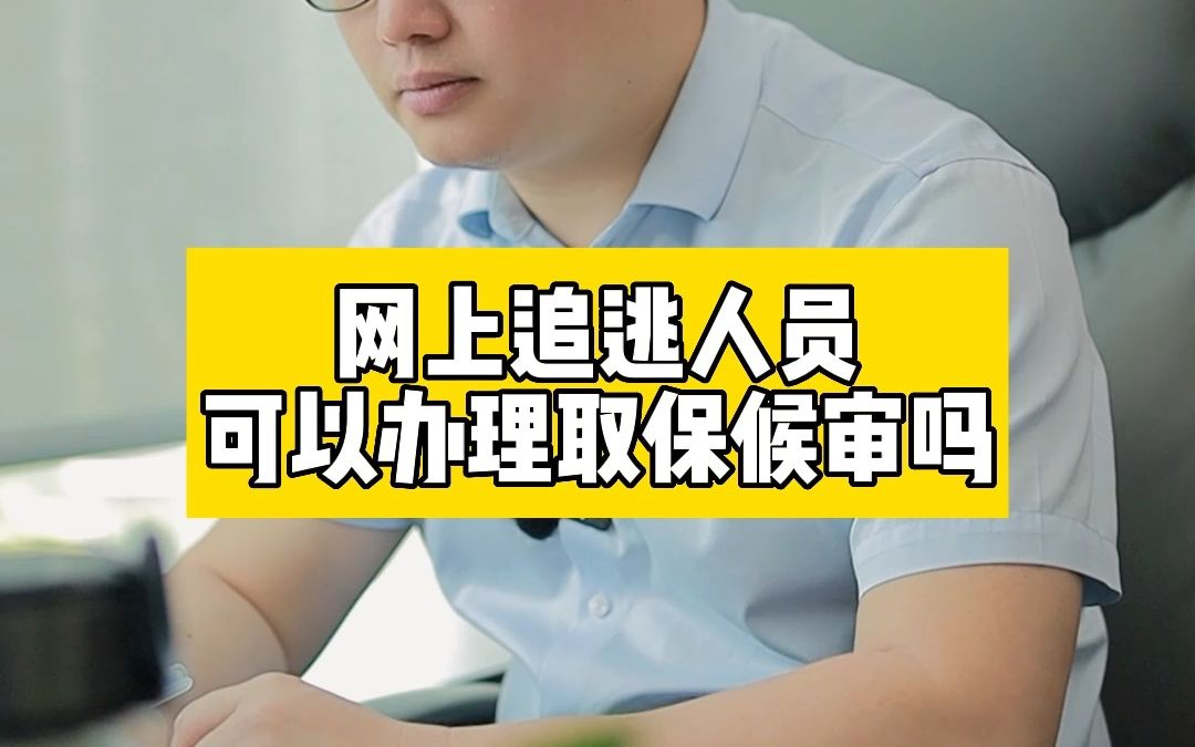 网上追逃人员可以办理取保候审吗?哔哩哔哩bilibili