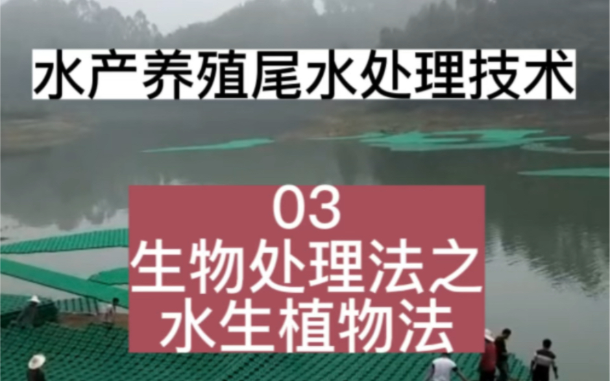 03生物处理法生物处理法主要依靠水生植物、微生物等生态功能,降解水中的氮磷等有机物.(1)水生植物法:生态浮床和人工湿地是两种常用的水生植物处...