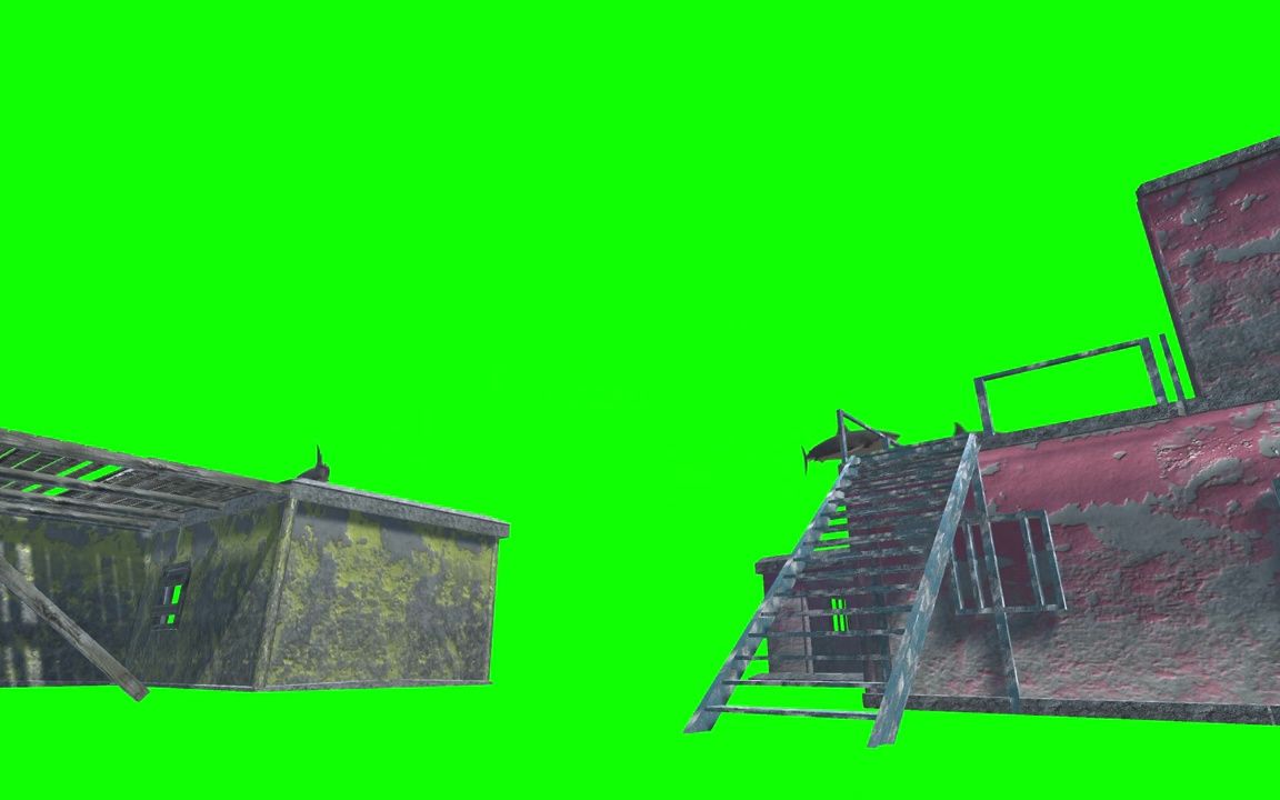 ▏d686 鲸鱼海豚建筑游动鲸鱼特写绿屏抠像动态素材视频后期制作合成