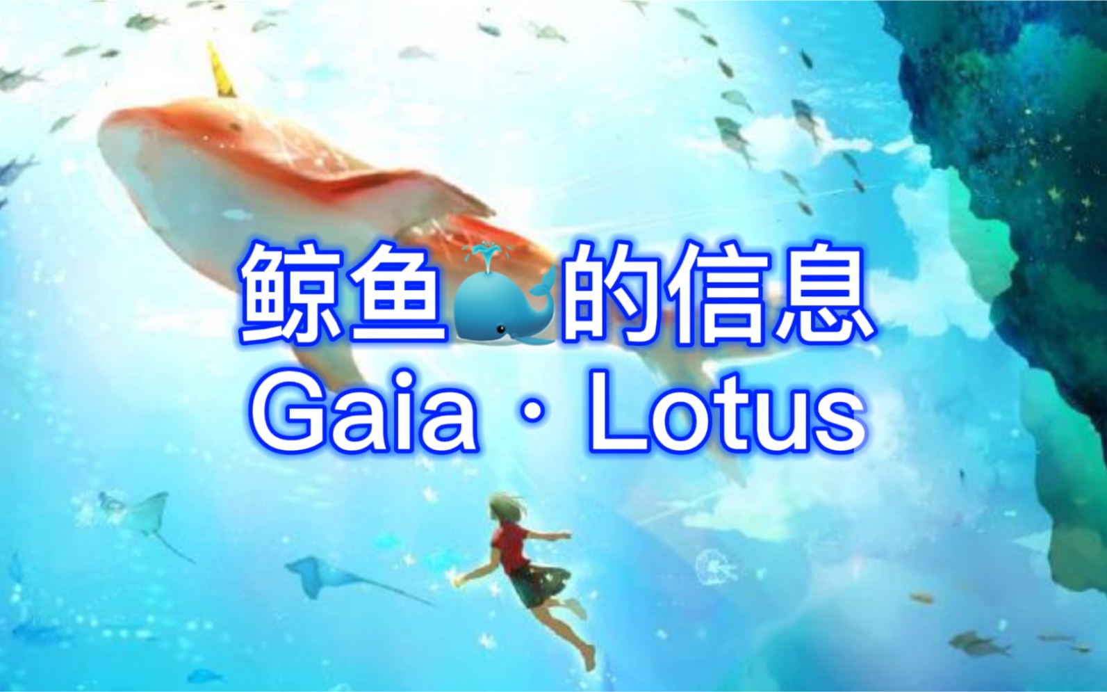 Gaiaⷌotus【动物灵传讯】鲸鱼的信息哔哩哔哩bilibili