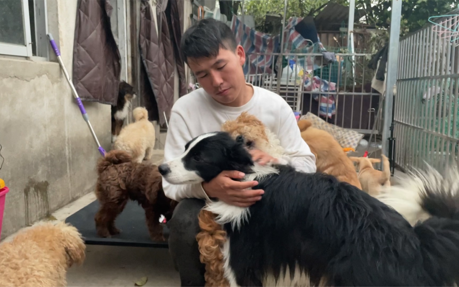 90后小徐放弃城市的繁华,带着44只流浪狗走进大山._哔哩哔哩_bilibili