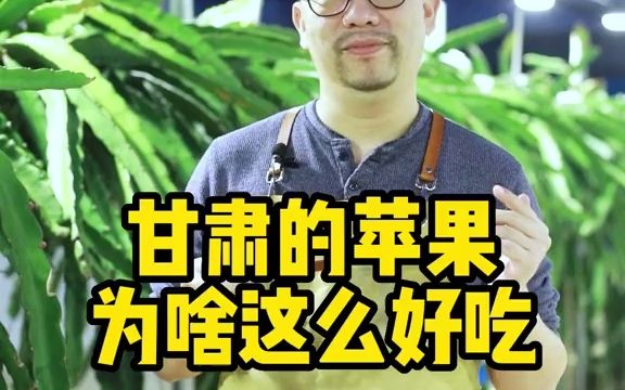 甘肃苹果为什么这么好吃?除了地理位置得天独厚,还有什么奥秘?哔哩哔哩bilibili