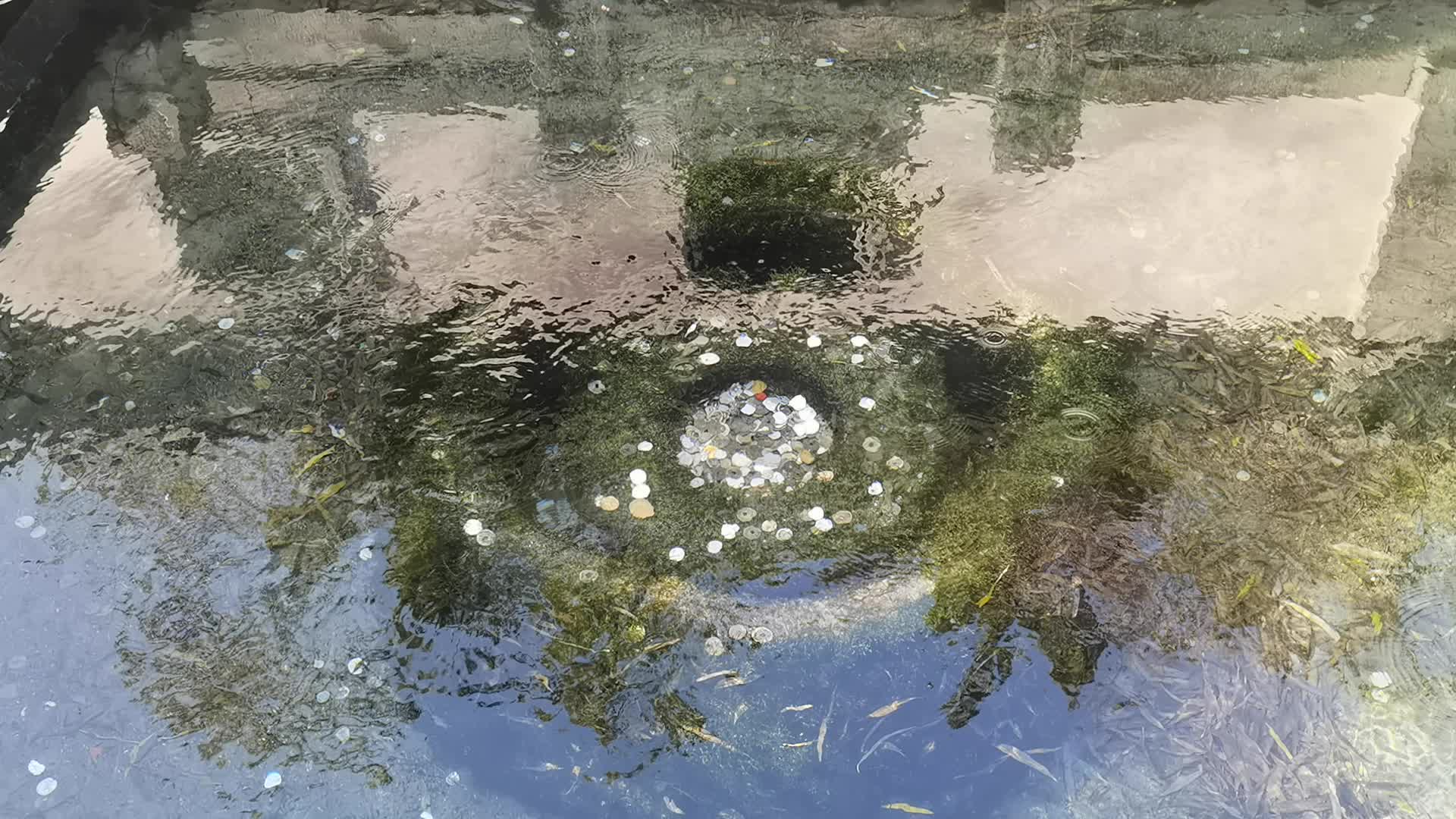 趵突泉景区里的另一个泉眼