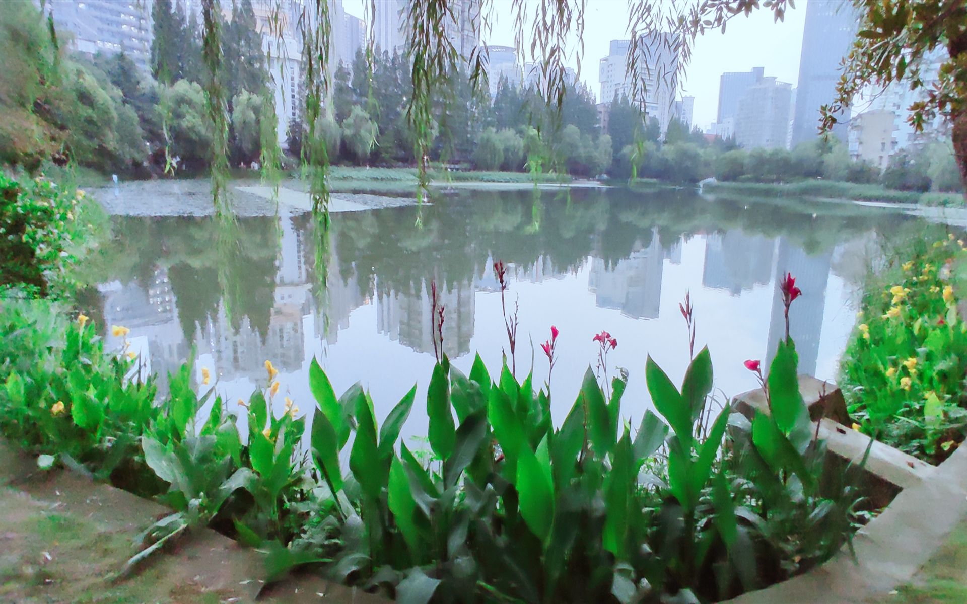 城市风景里的桃花源,武汉小南湖公园,闹中取静休闲好去处