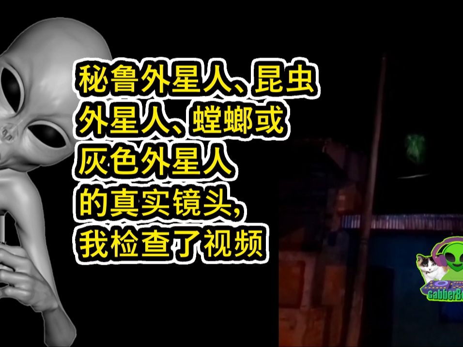 秘鲁外星人,昆虫外星人,螳螂或灰色外星人的真实镜头,我检查了视频.