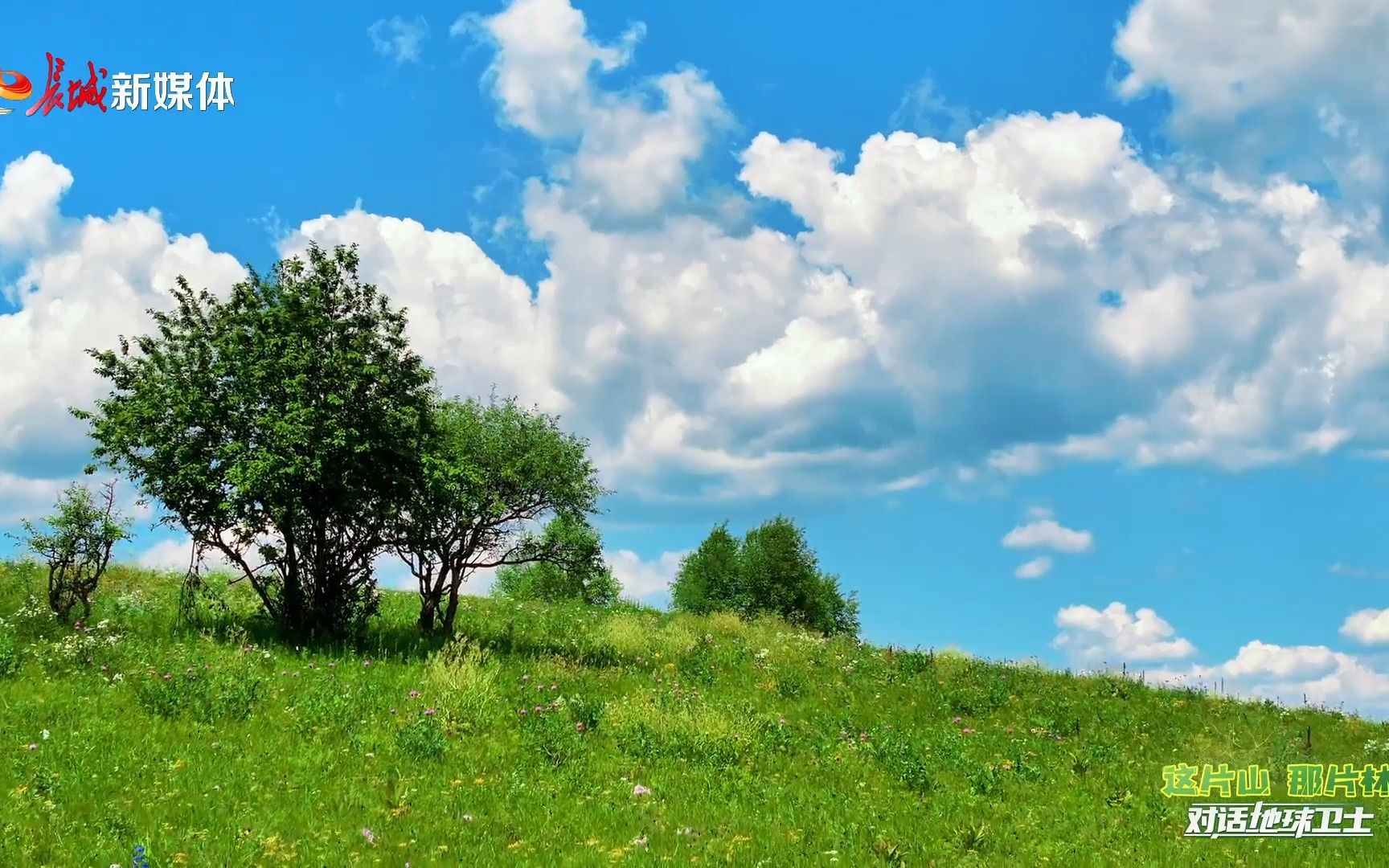 对话"地球卫士":这片山 那片林