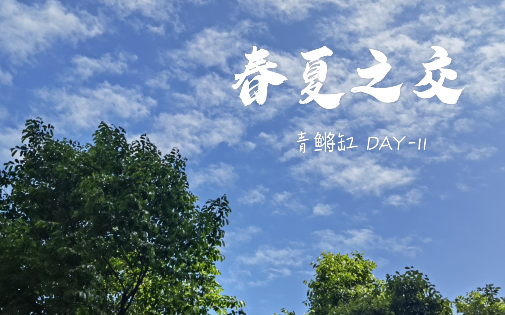 [图]周末 蓝天与白云 青鳉缸 DAY-11