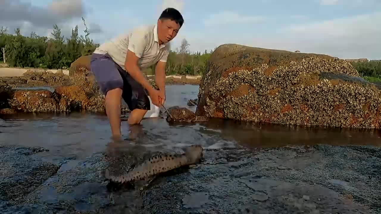 阿彬赶海图片