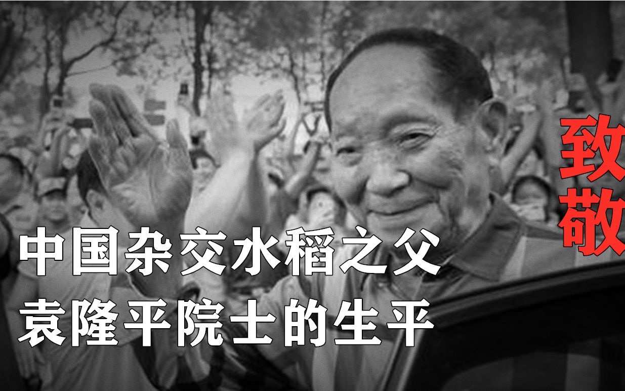 [图]致敬袁隆平：回顾杂交水稻之父—袁老不平凡的一生！