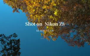 Tải video: 尼康Z8的8K60P 12bit RAW视频，画质炸裂！