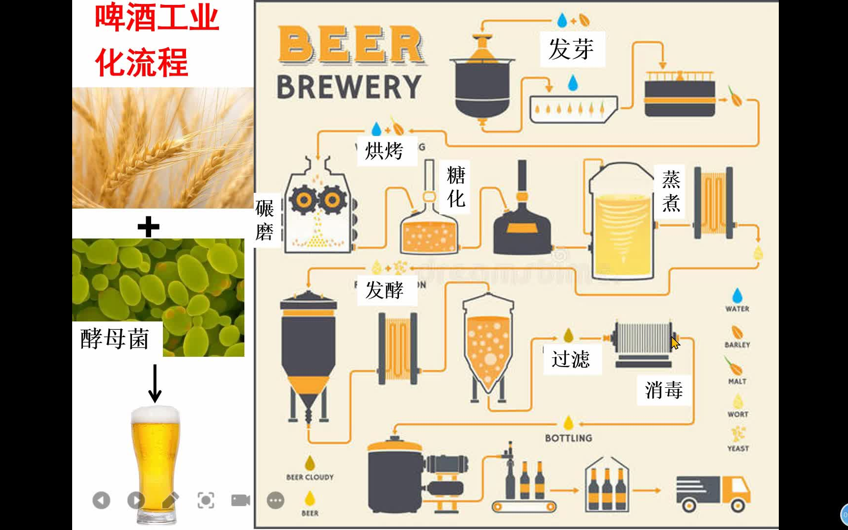 [图]选三1.3 发酵工程及其应用