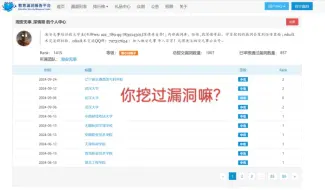 Descargar video: 你挖过漏洞嘛?