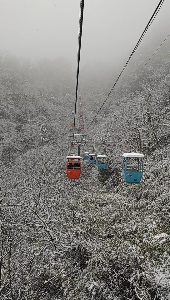 都江堰青城后山又一村白云寺哔哩哔哩bilibili