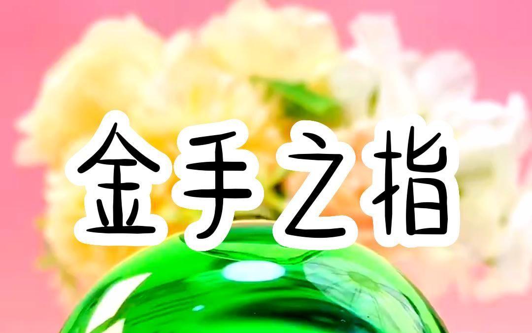 金手之指哔哩哔哩bilibili