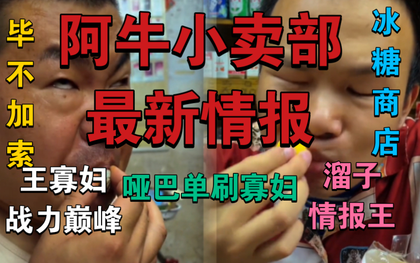 【阿牛小卖部最新情报】官宣王寡妇战力巅峰 溜子成为情报王 胖哥追杀楞子 哑巴让胖哥成为鑫鲁(溜冰冰糖商店 16致癌小卖部)毕不加索哔哩哔哩bilibili