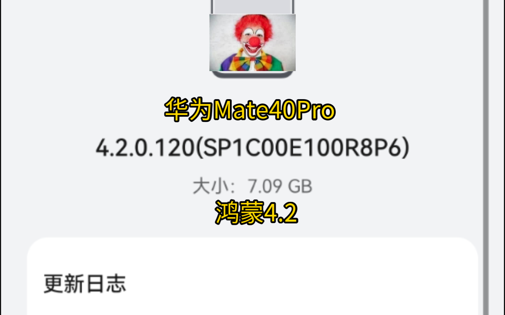 HUAWEI Mate 40 Pro系统更新,从4月等到6月的新系统版本终于更新哔哩哔哩bilibili