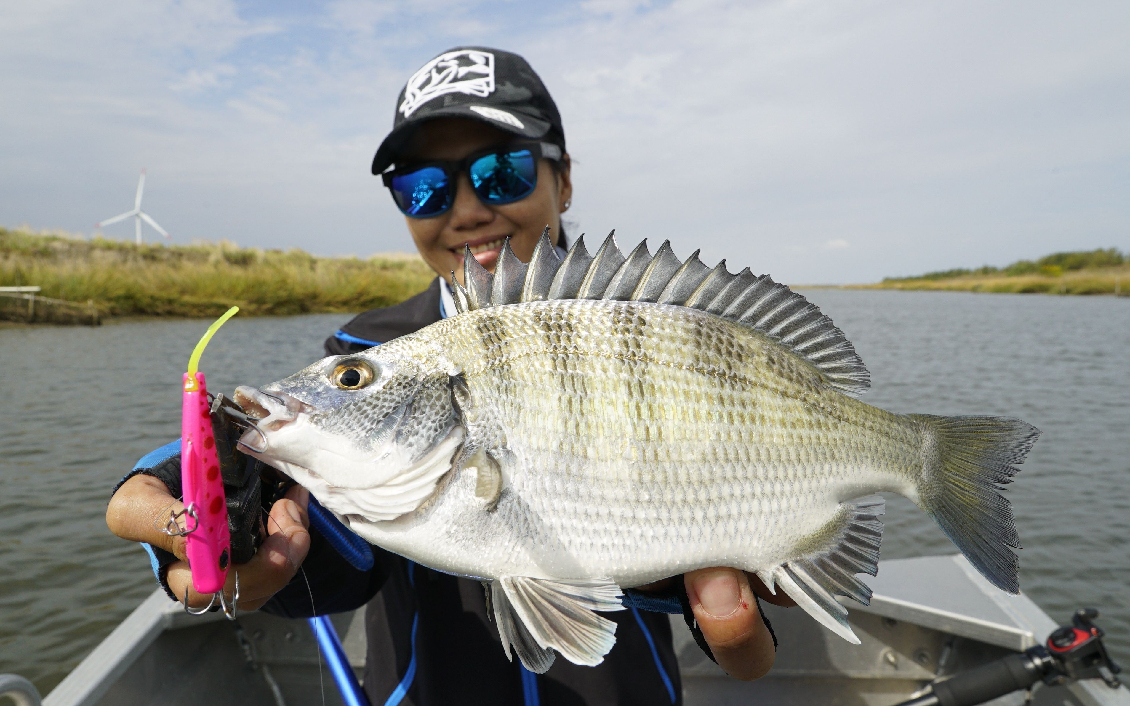 蓝旗鱼路亚小河海鱼多软尾vib钓上了几种意外的鱼