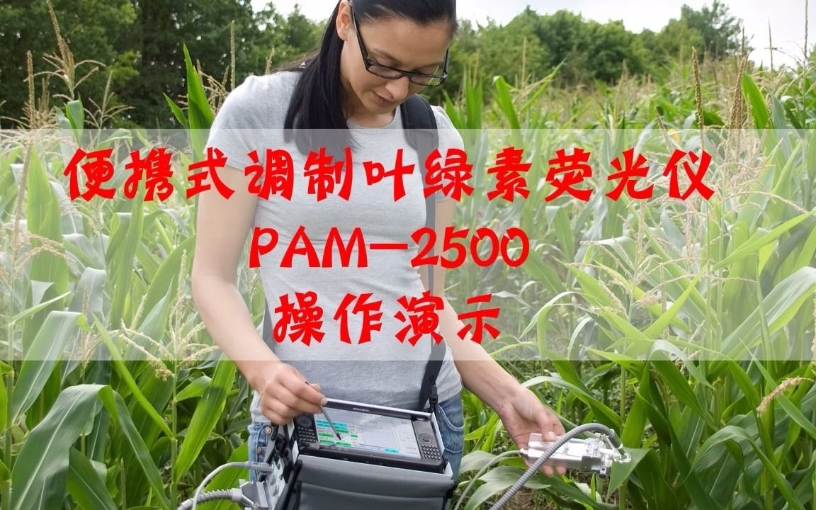 便携式调制叶绿素荧光仪PAM2500操作演示哔哩哔哩bilibili