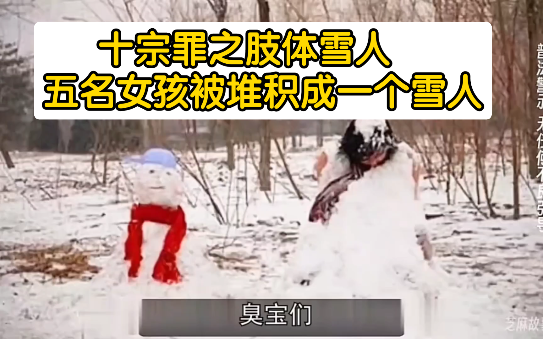 十宗罪之肢体雪人,五名女孩被堆积成一个雪人【哈尔滨肢体雪人案】哔哩哔哩bilibili