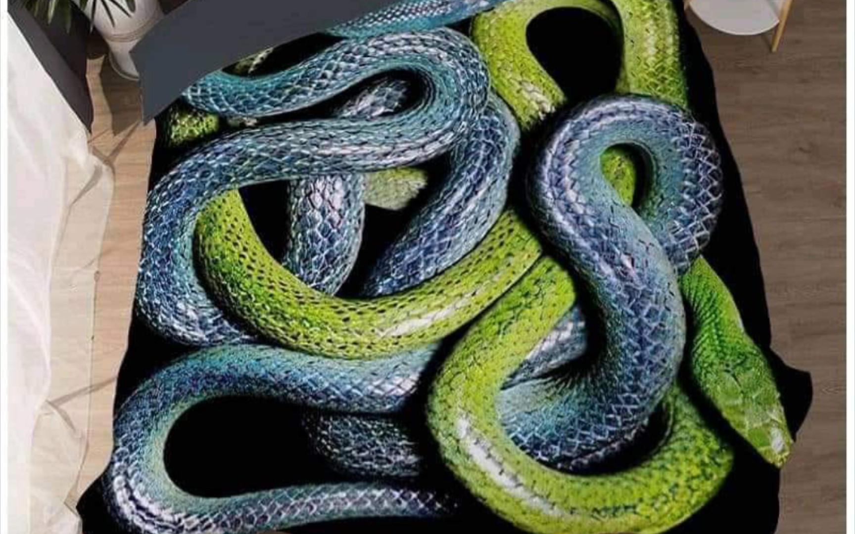 送给你们活体蛇盛宴,一大盘一大盘