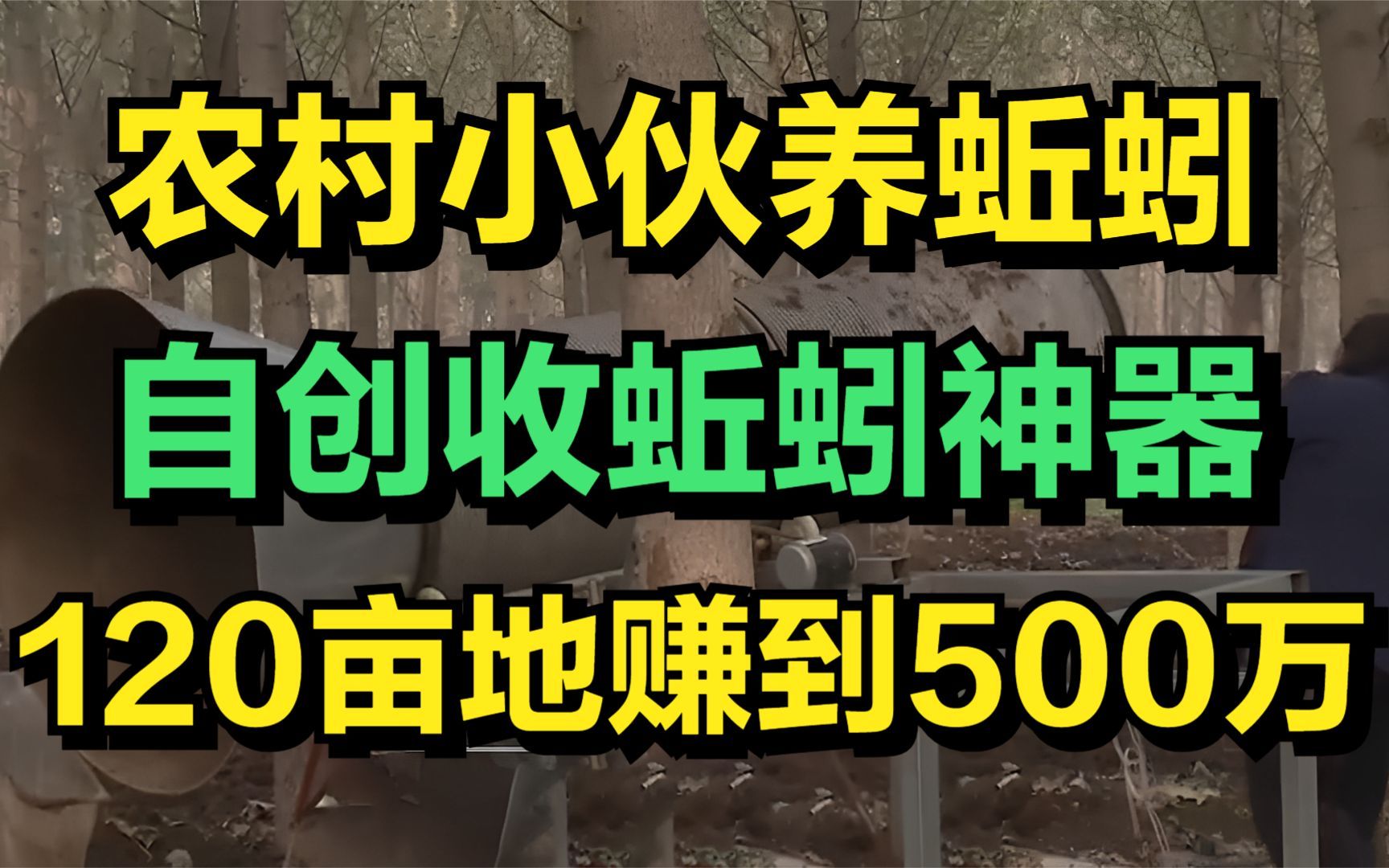 农村小伙创业养蚯蚓,自创收蚯蚓神器,120亩地赚到500万元!哔哩哔哩bilibili