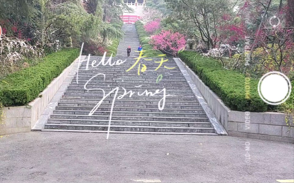 [图]来雨花台，闻闻春天的味道