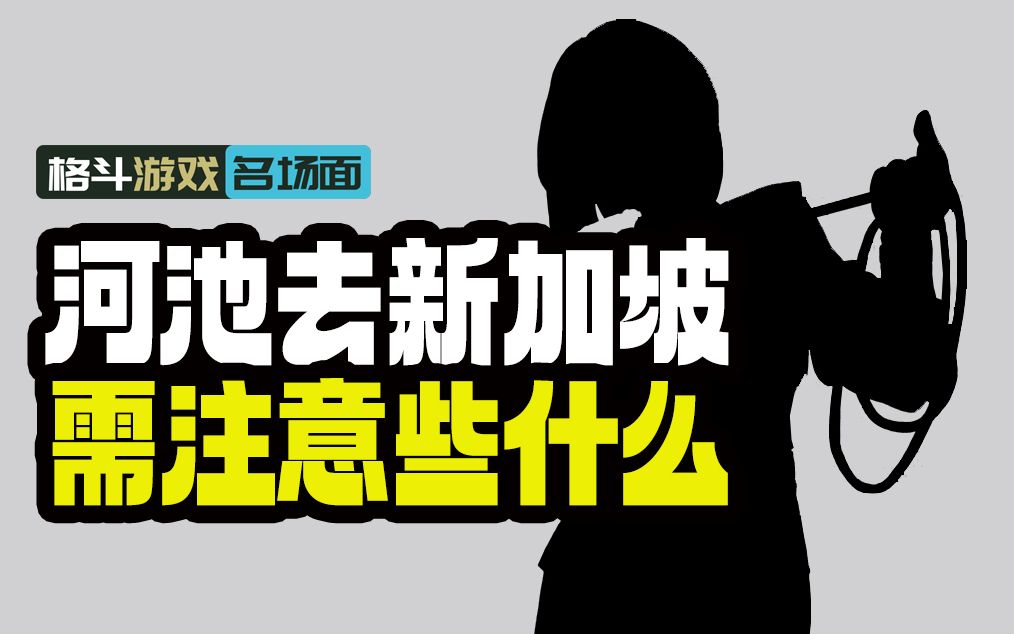 河池停播将赴新加坡 并列出心愿清单 询问注意事项 观众提醒千万别口嗨单机游戏热门视频