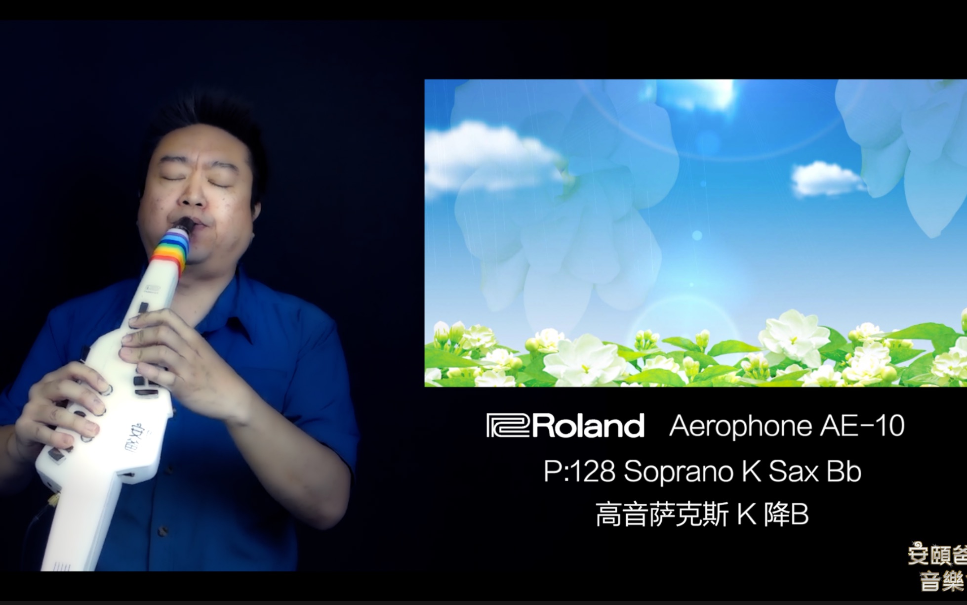 [图]电吹管 萨克斯 茉莉花 Jasmine Flower【安颐爸爸音乐会】Roland Aerophone AE10