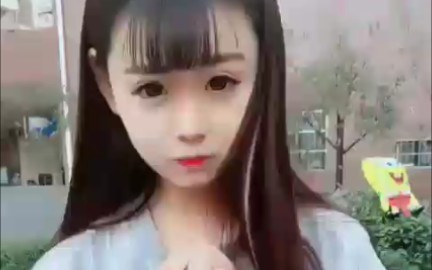 张大凡♡哔哩哔哩bilibili