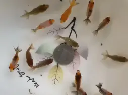...