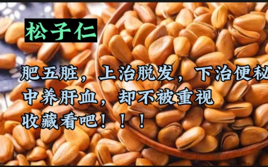 [图]介绍一味药--松子仁！