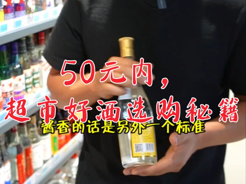 50元也能买好酒?超市选购秘籍大公开,性价比之王等你来挑!哔哩哔哩bilibili