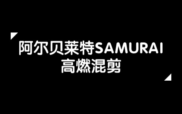 [图]阿尔贝莱特SAMURAI高燃混剪