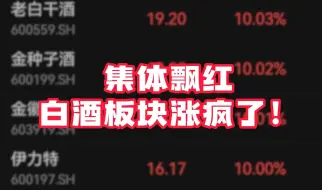 下载视频: 五粮液、老白干酒、金种子酒、泸州老窖等多股涨停