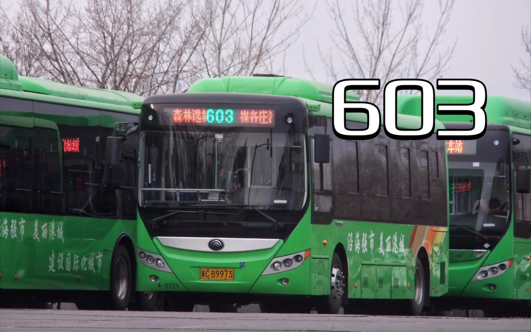 【秦皇岛公交】603路(崔各庄汽车站→森林逸城汽车站)pov_哔哩哔哩