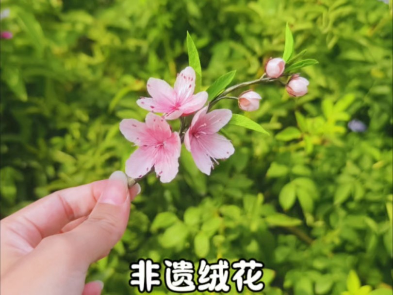 【绒花】桃之夭夭哔哩哔哩bilibili