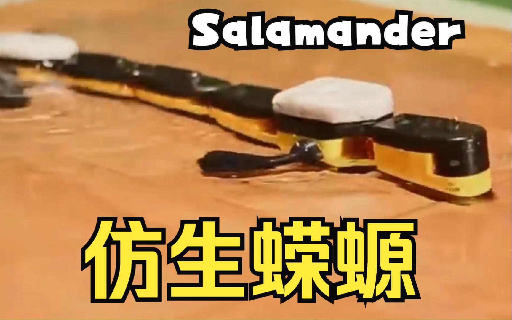 仿生蝾螈,机器蜥蜴,Salamander machine,仿生两栖动物,水陆两栖机器生物哔哩哔哩bilibili