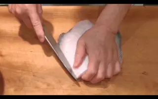 真子鲽 搜索结果 哔哩哔哩 Bilibili