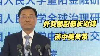 Download Video: 外交部副部长谢锋谈中美关系：和平共处是底线，围堵打压注定徒劳