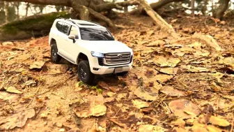 Download Video: Kyosho Mini Z 4x4 Toyota LC300 - after storm crawl