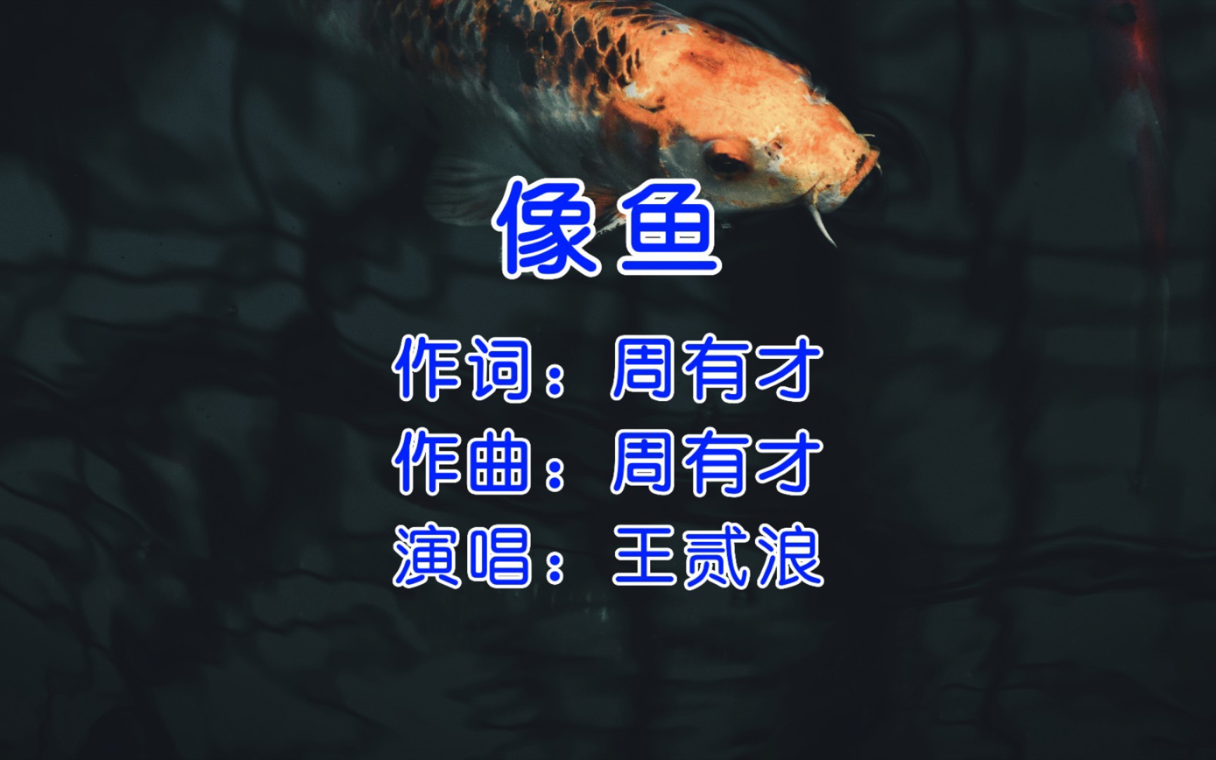 火爆全网的一首慢歌,王贰浪《像鱼》,别不承认你也在单曲循环.