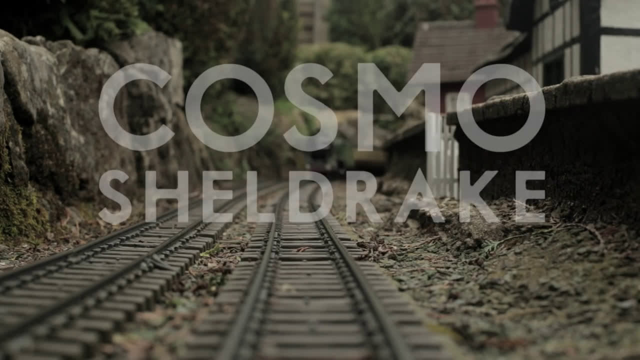 [图]【Cosmo Sheldrake】- The Moss (Live at the Village)