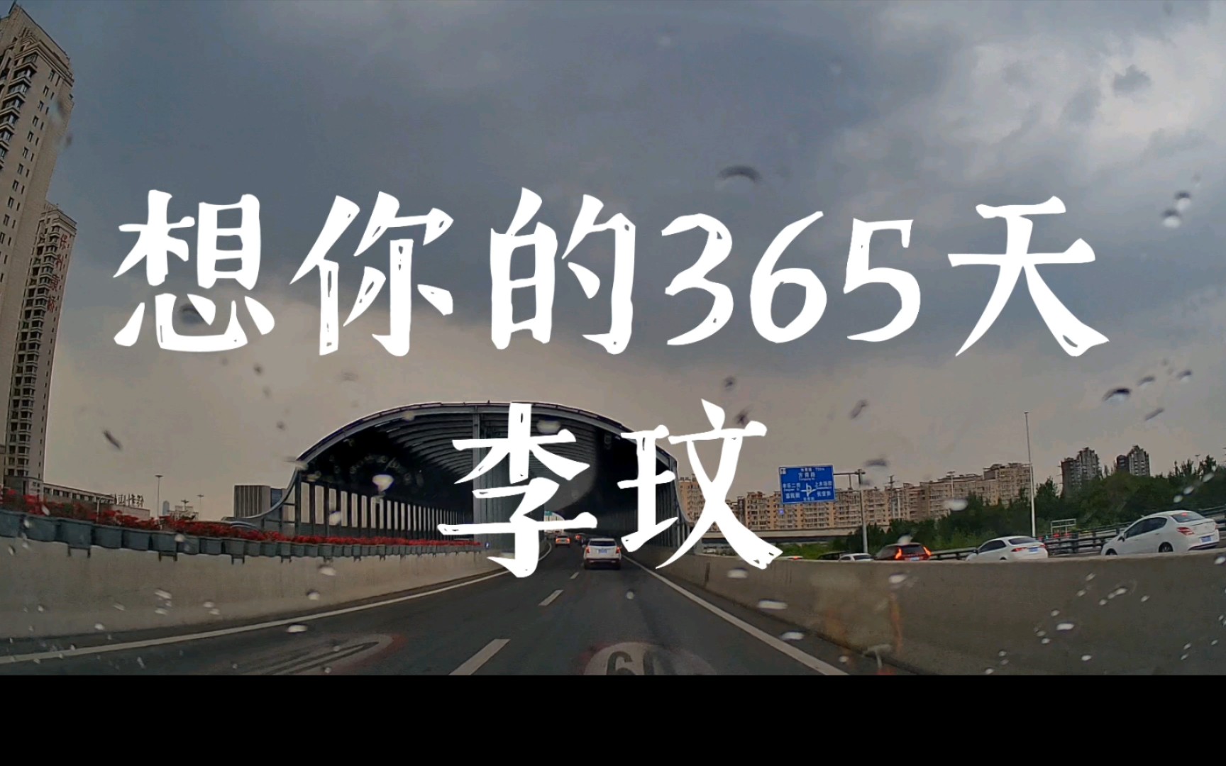 【听歌】李玟,想你的365天