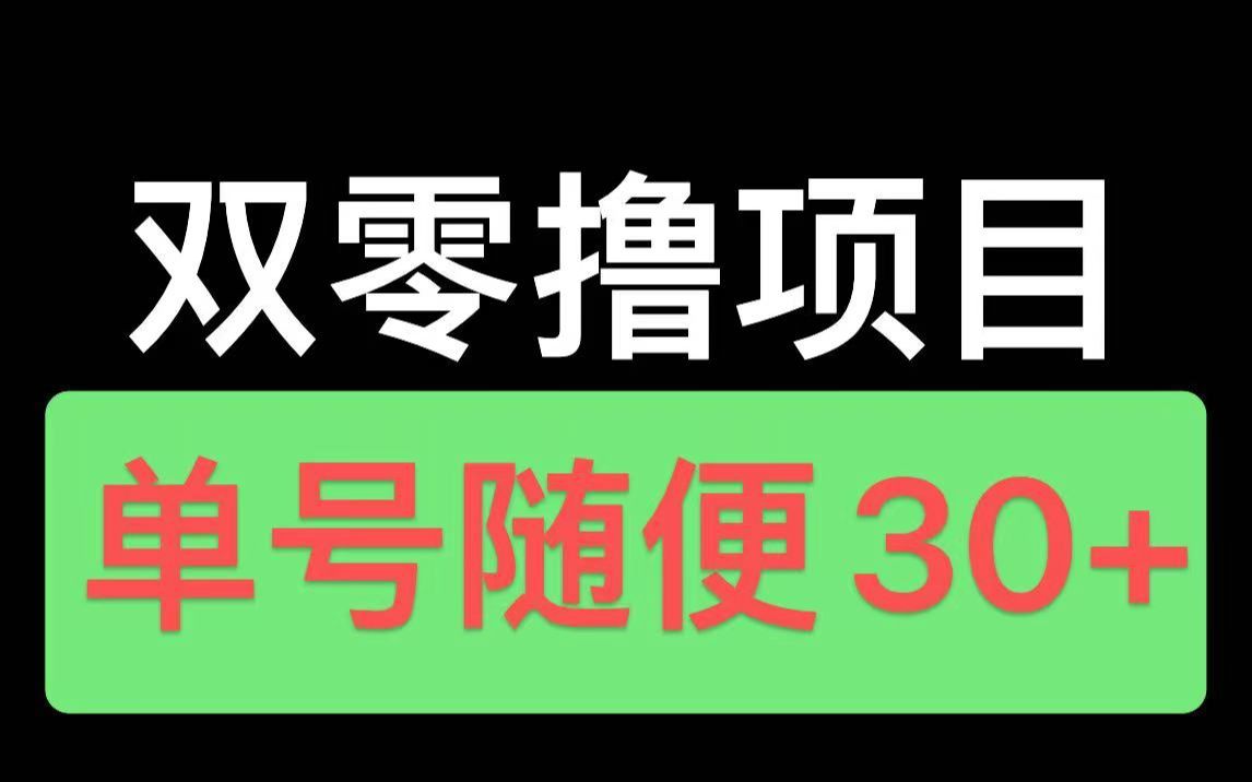 【up亲测!】两个零撸项目,单号随便30+,多平台操作!!!哔哩哔哩bilibili