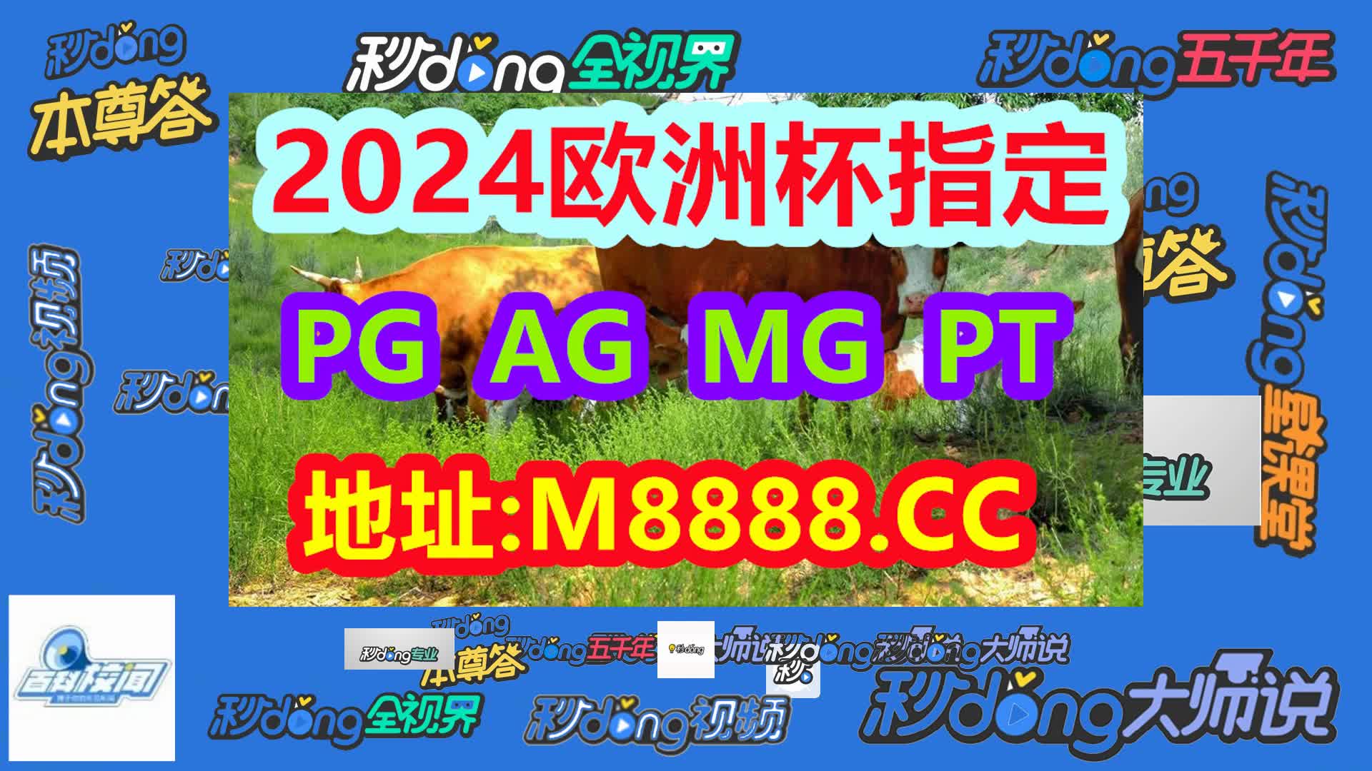 澳门新资料大全正版资料下 载(哔哩哔哩)071期